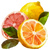 agrumes.png